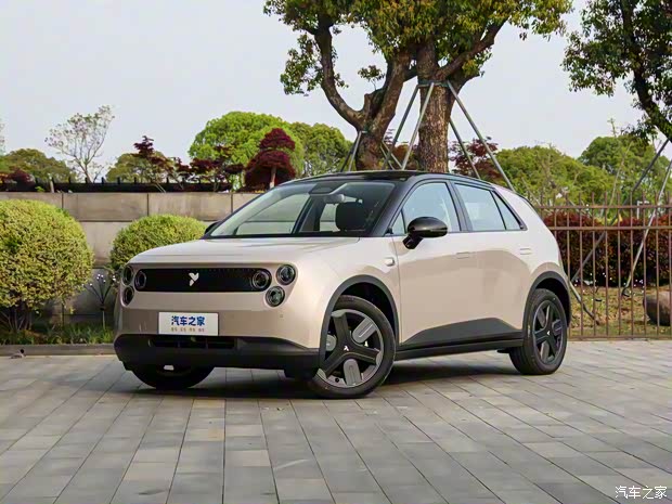 Автомобиль Le Dao